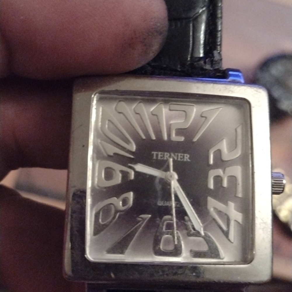 Terner Ladies Watch